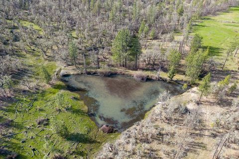 Tiny photo for 10060 Butte Falls Highway, Eagle Point, OR 97524 (MLS # 220220102)