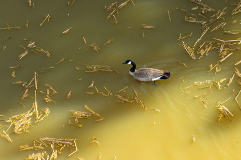 Tiny photo for 10060 Butte Falls Highway, Eagle Point, OR 97524 (MLS # 220220102)