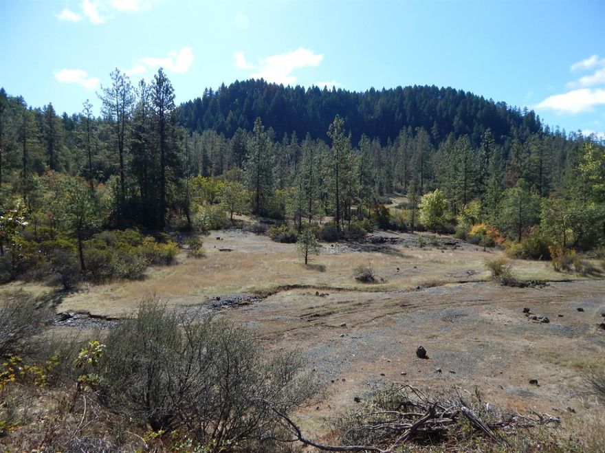 This Historic Waldo property could be yours! Part of the originally site of the town of Waldo, this beautiful setting is now available. Backed by acres and acres of BLM, this, 14.80 acres, parcel is waiting for your dream home. With a mixture of open and treed areas it has level, rolling and moderate sloping land. Bring your imagination. Located across the road from the Waldo plaque.