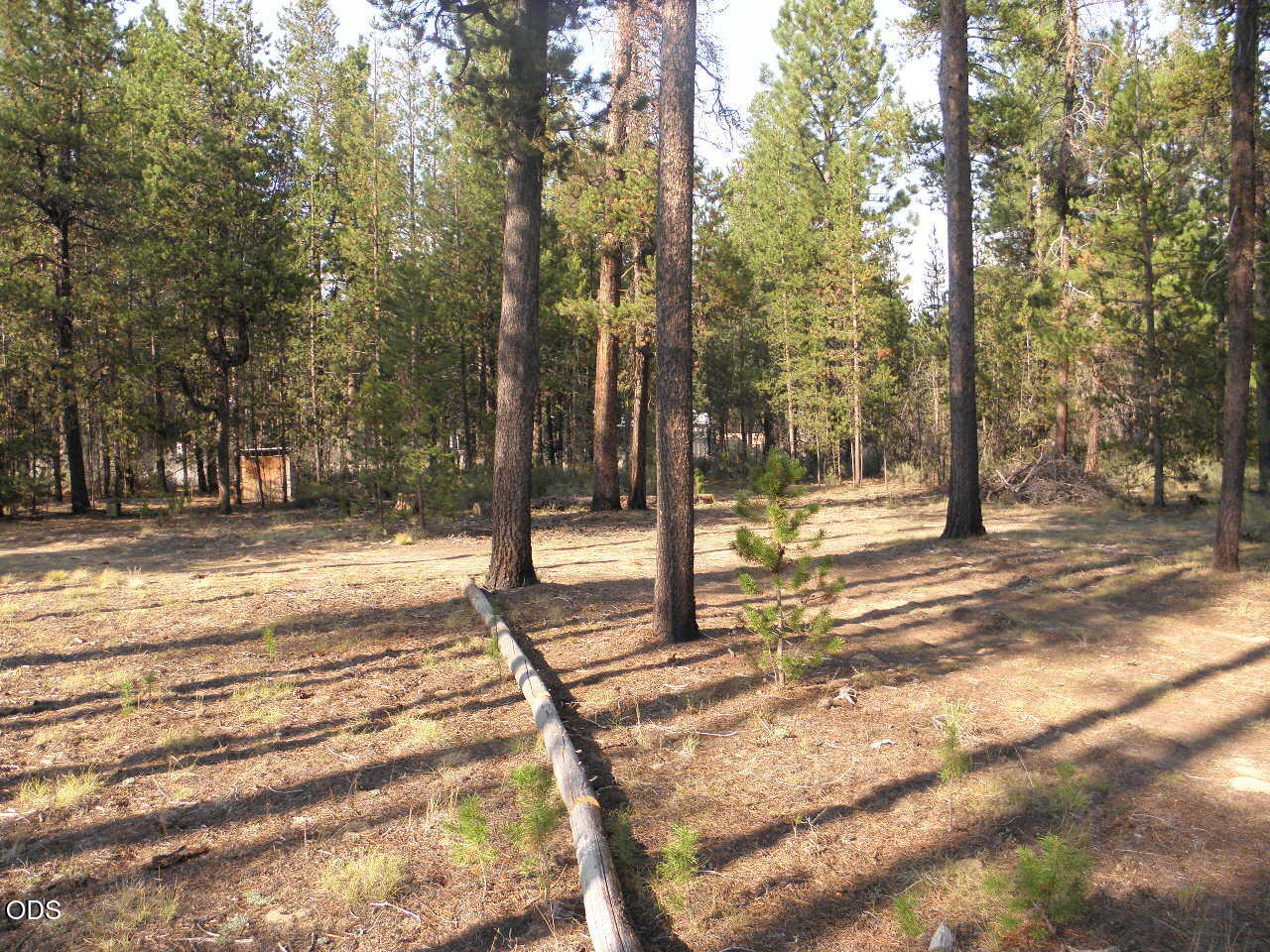 15845 Twin Drive