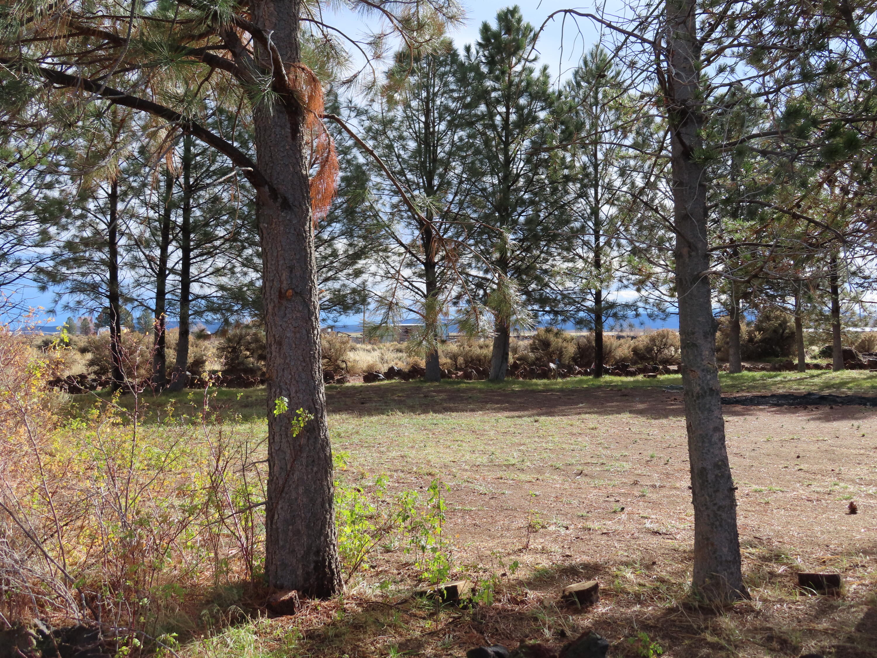 Christmas Valley Unit2 - Residential