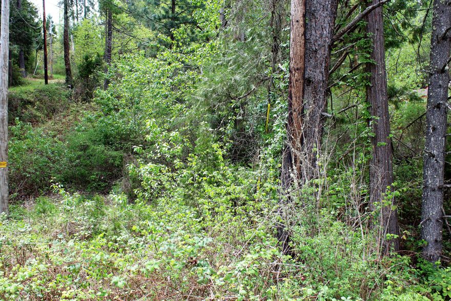 Vacant country lot located on 1.20 acres across from the Rogue River. Sloped hillside backs up to wooded area, perfect place to build your dream home.