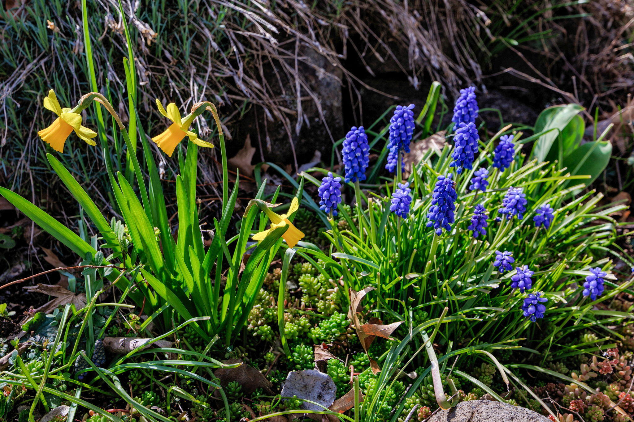 N/A - Residential Income