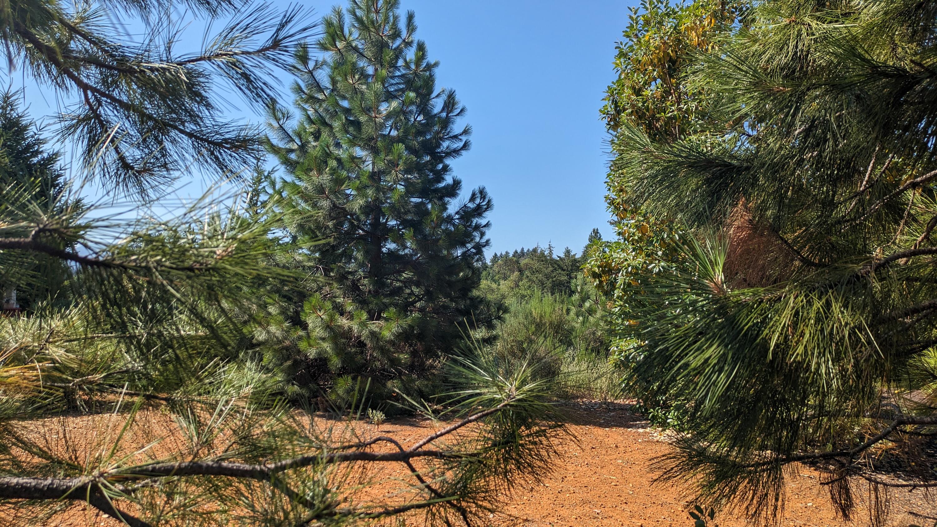 Sunnybrook Manor Estates - Land