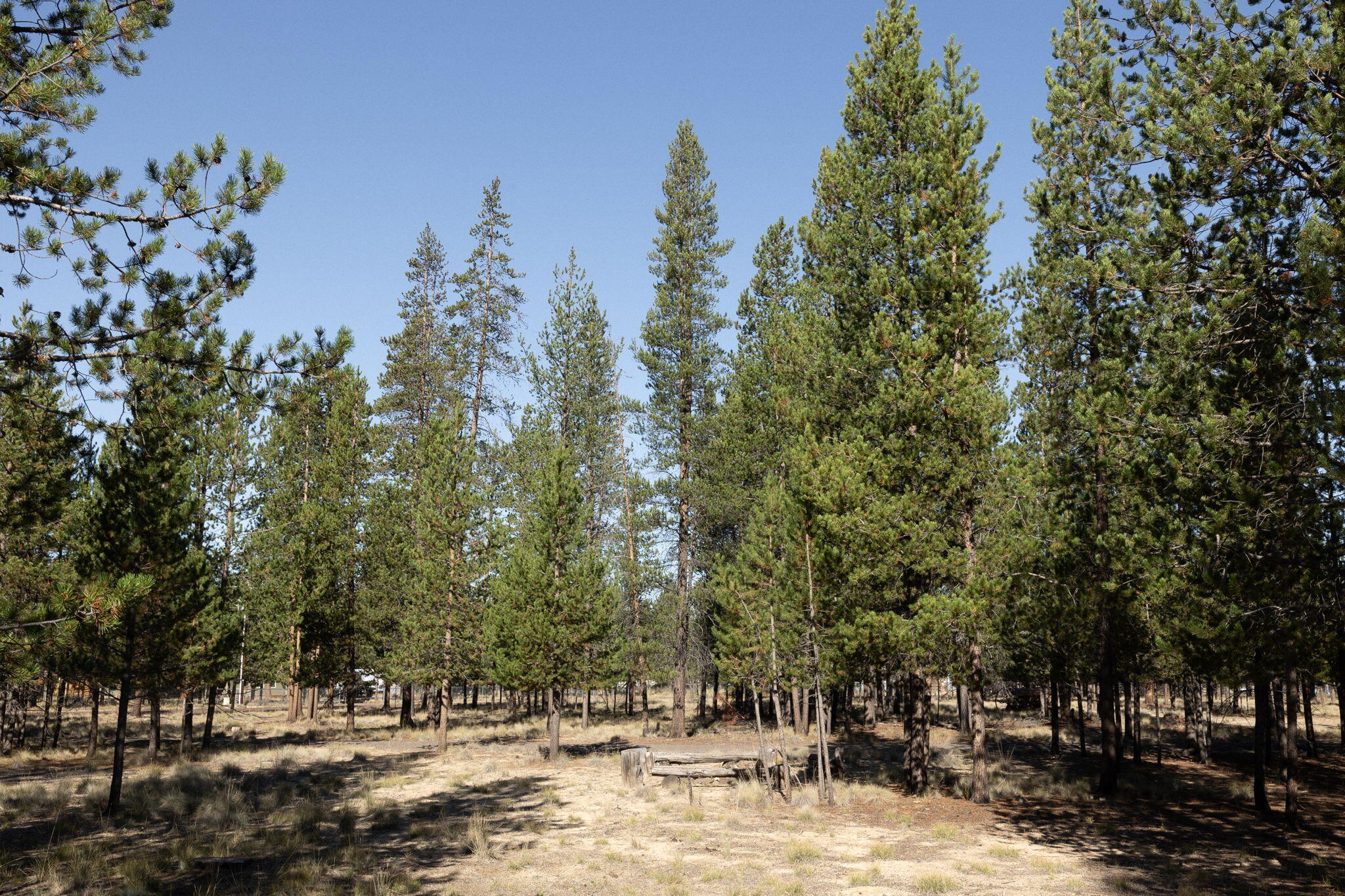 Sun Forest Estates - Residential