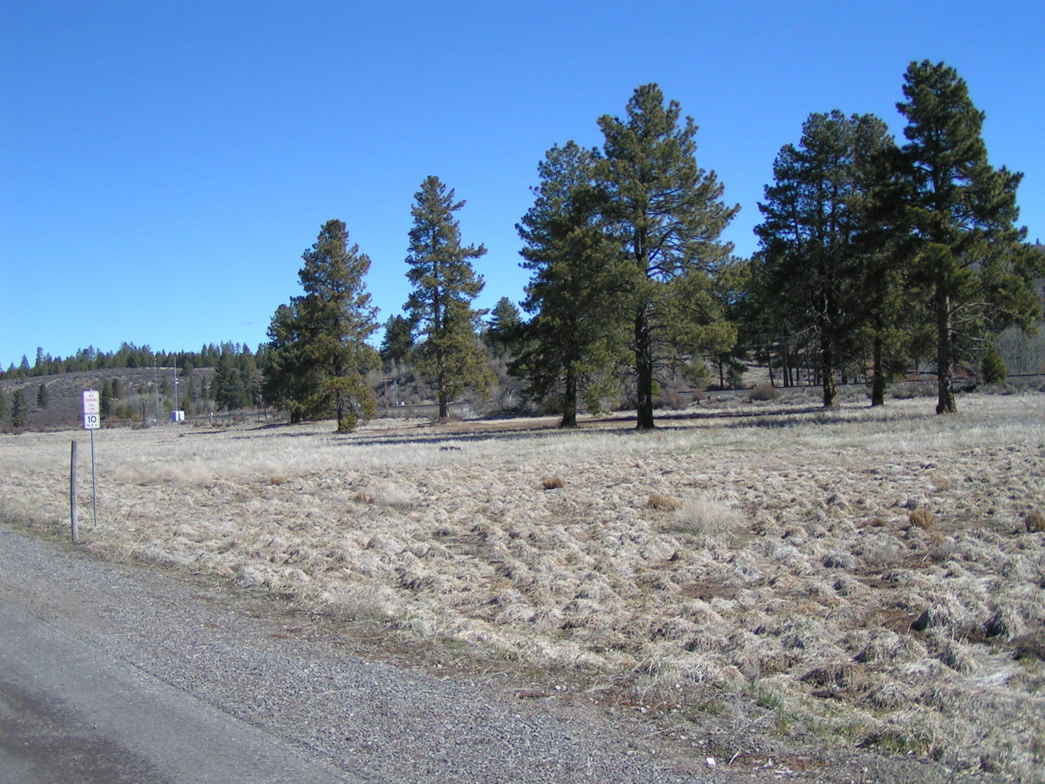 Pine Ridge Ranches - Land