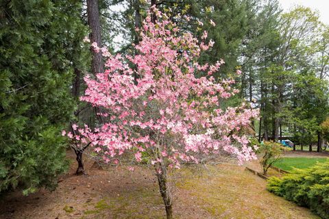 Tiny photo for 185 October Lane, Merlin, OR 97532 (MLS # 220219929)