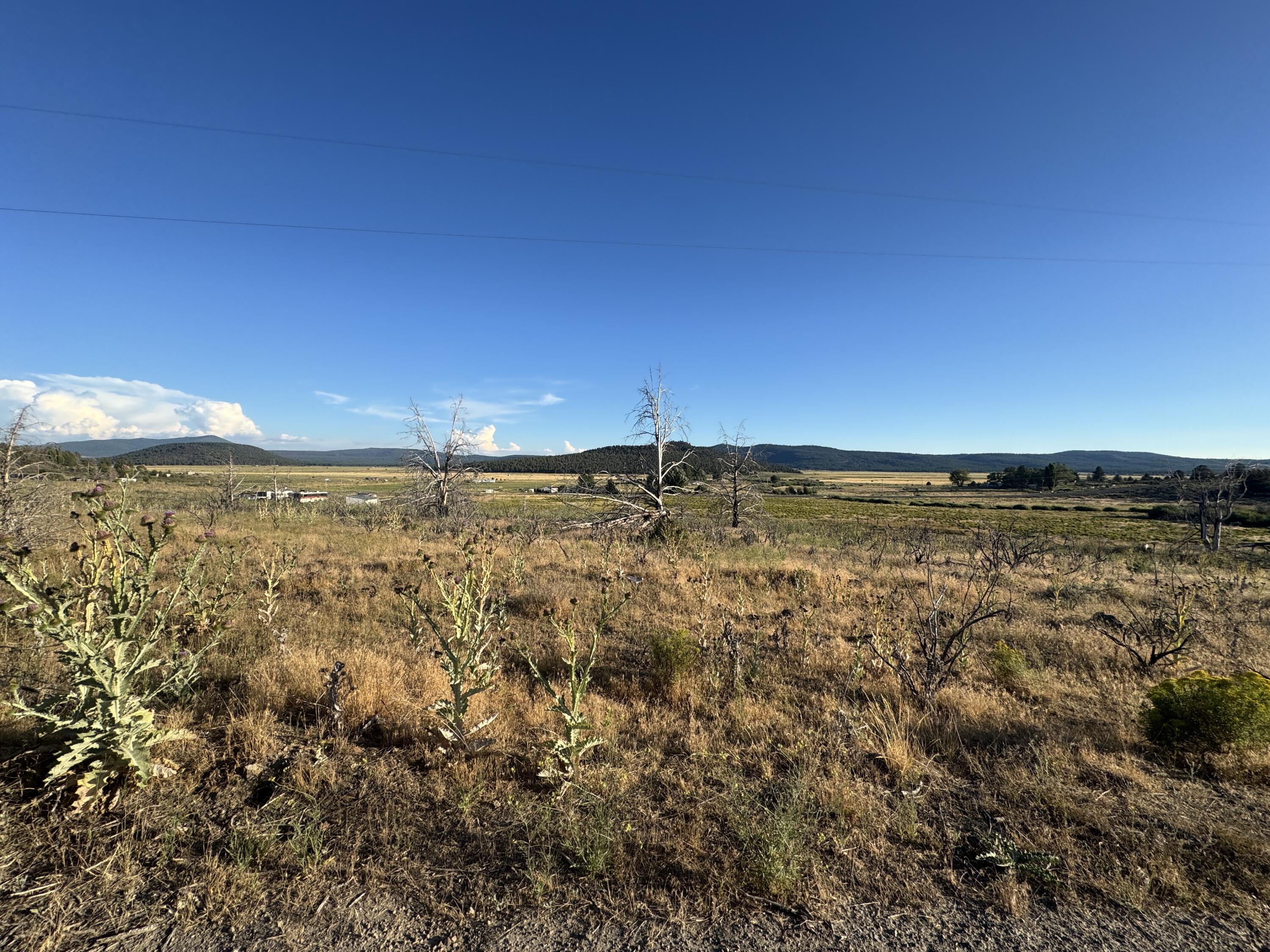 Nimrod River Park - Land