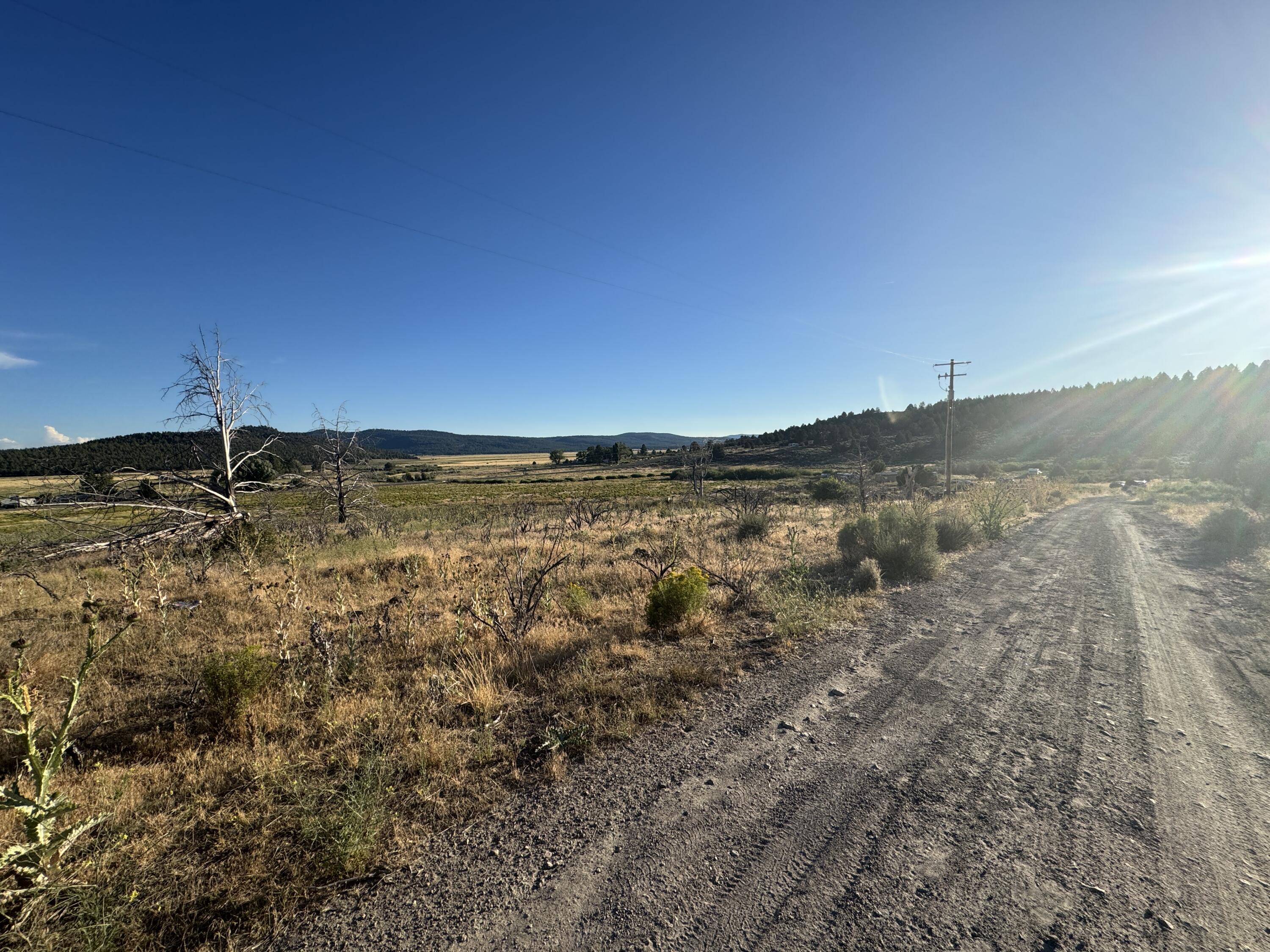 Nimrod River Park - Land