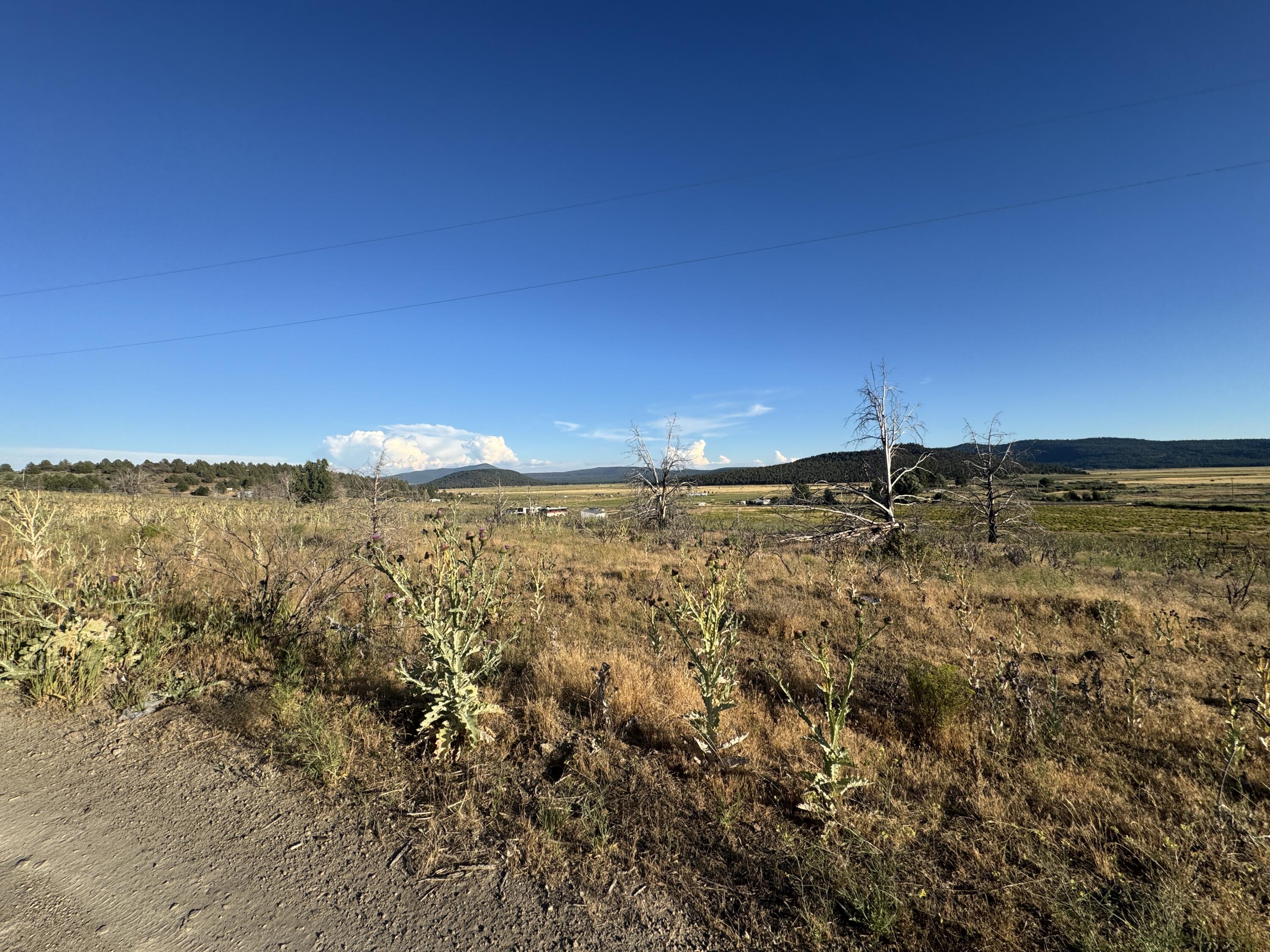 Nimrod River Park - Land