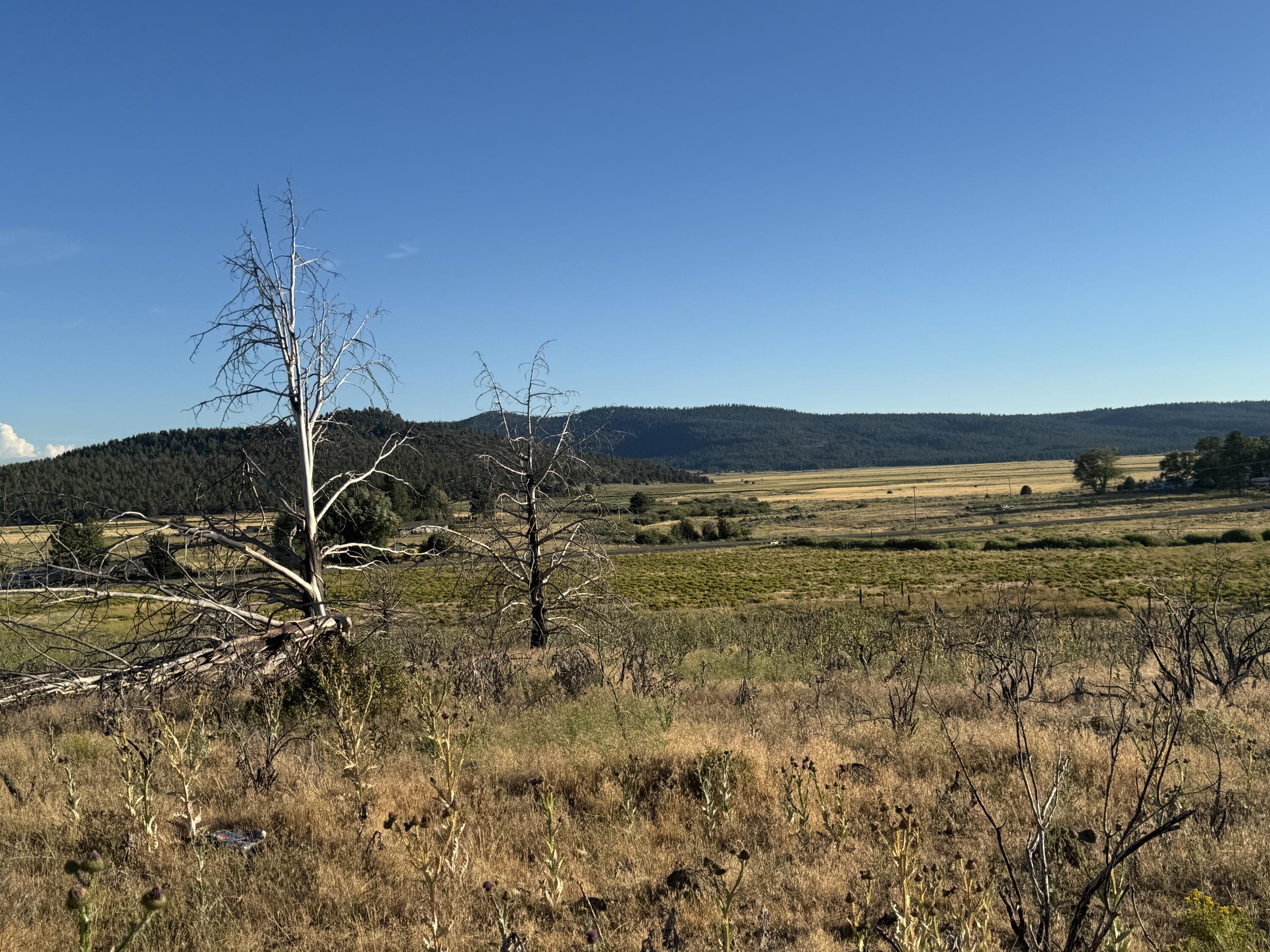 Nimrod River Park - Land