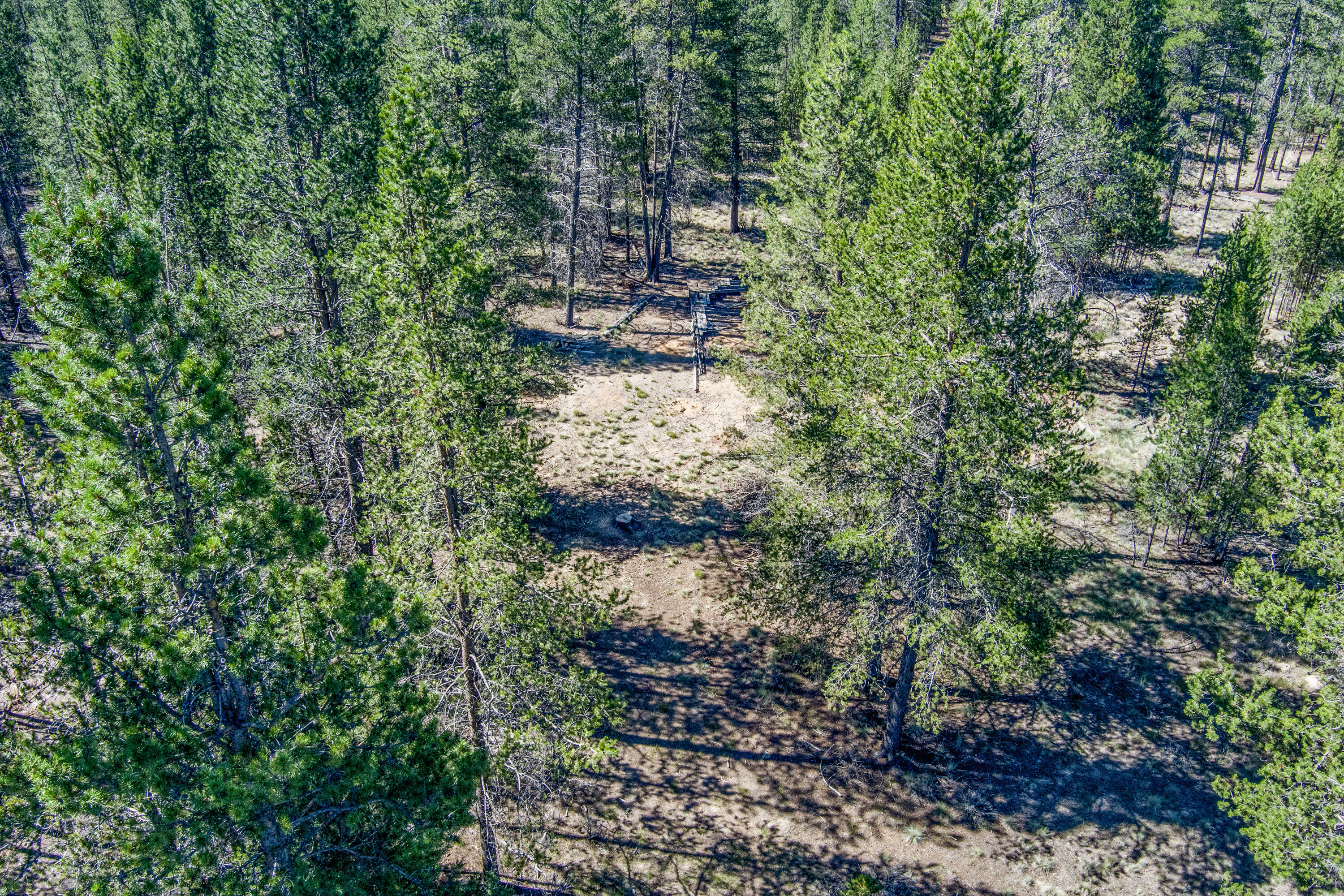 Sun Forest Estates - Land