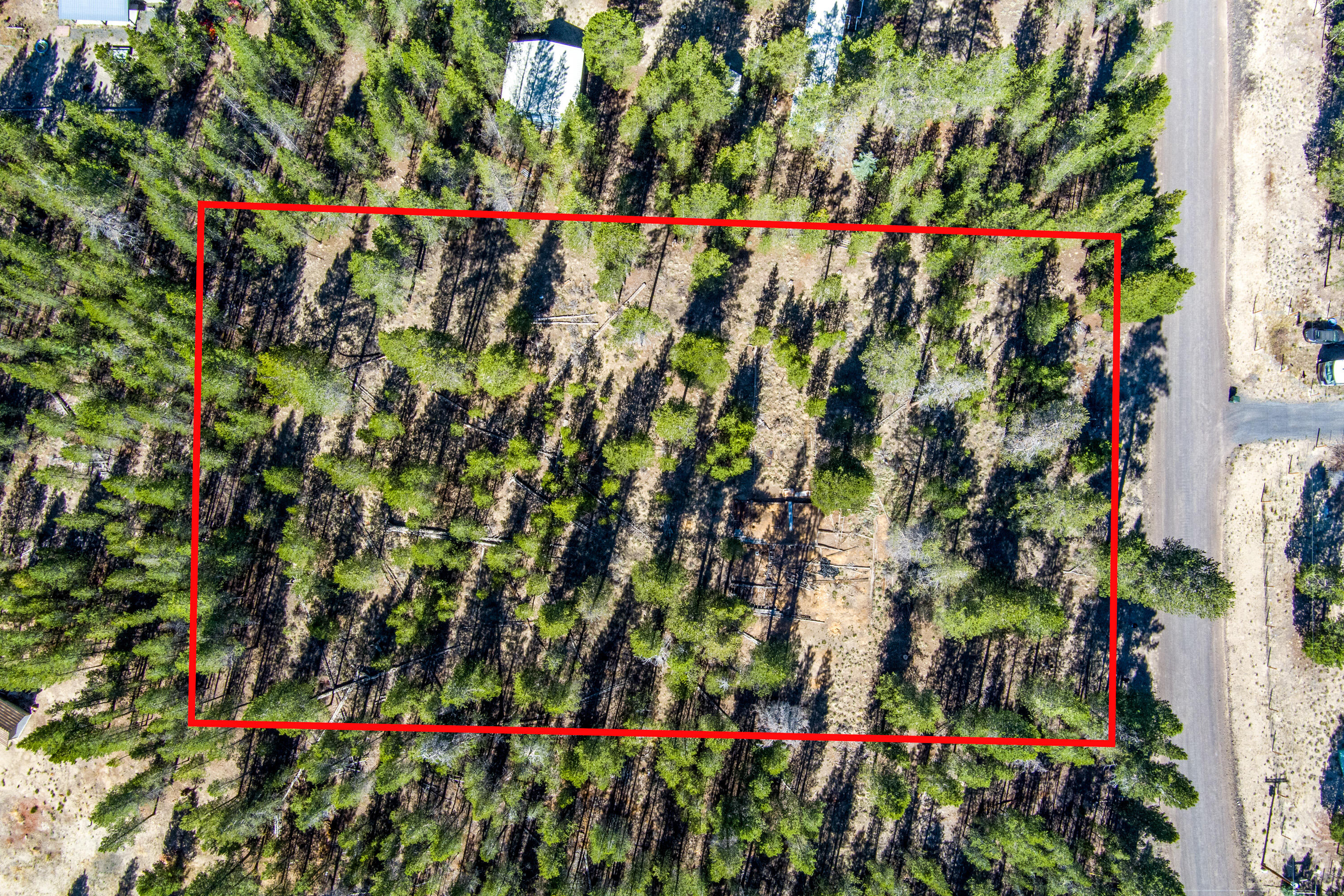 Sun Forest Estates - Land