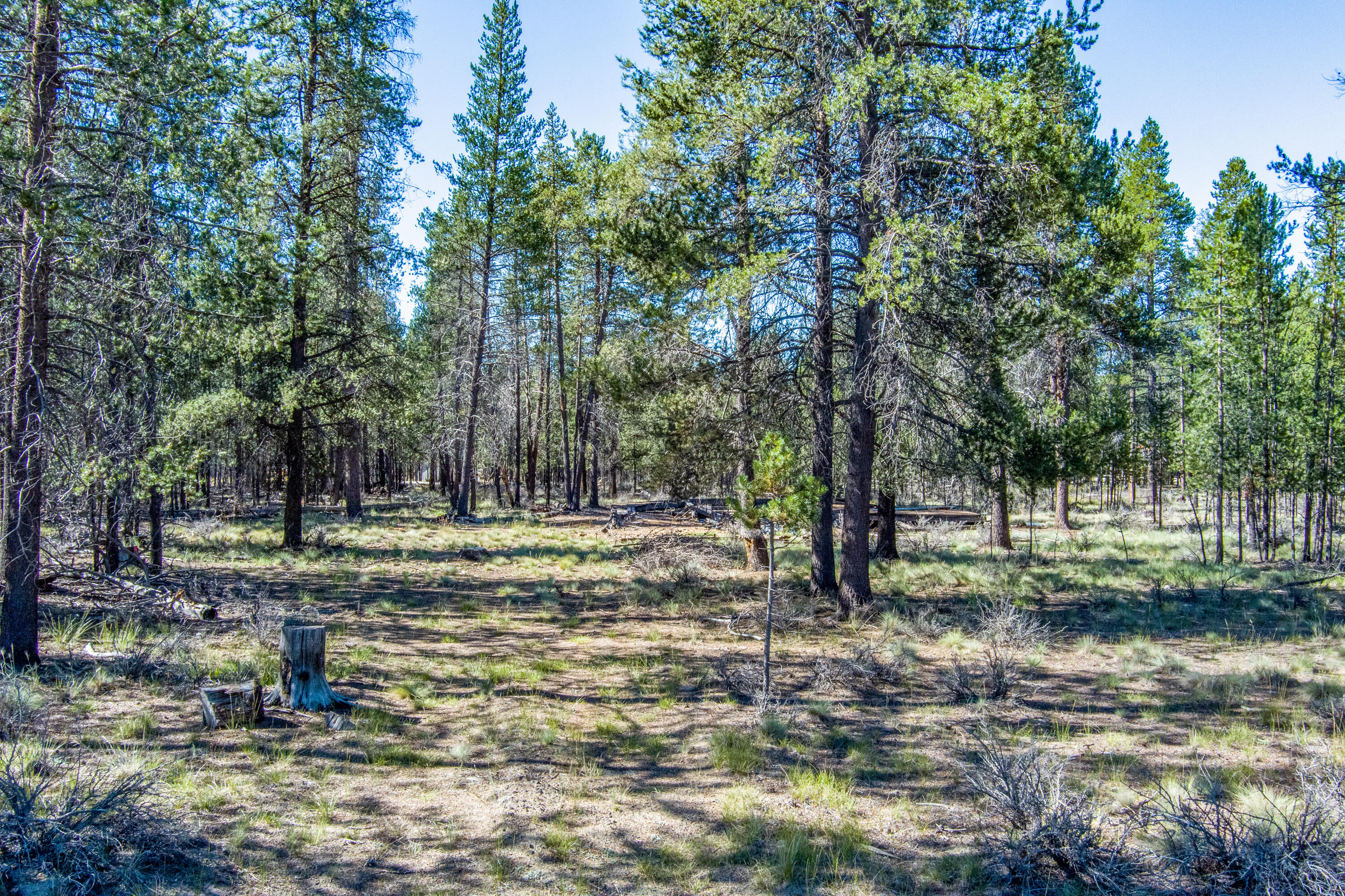 Sun Forest Estates - Land