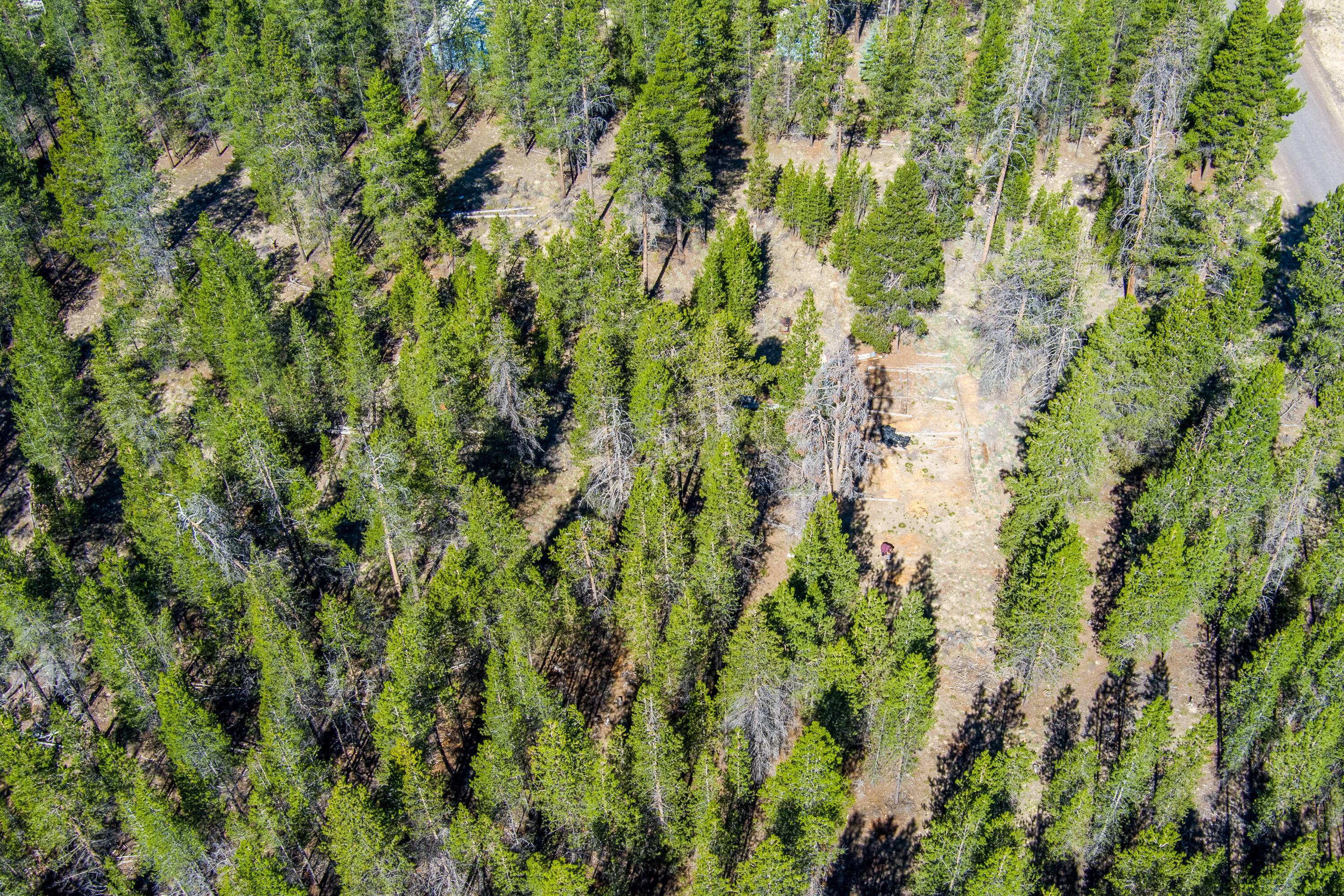 Sun Forest Estates - Land