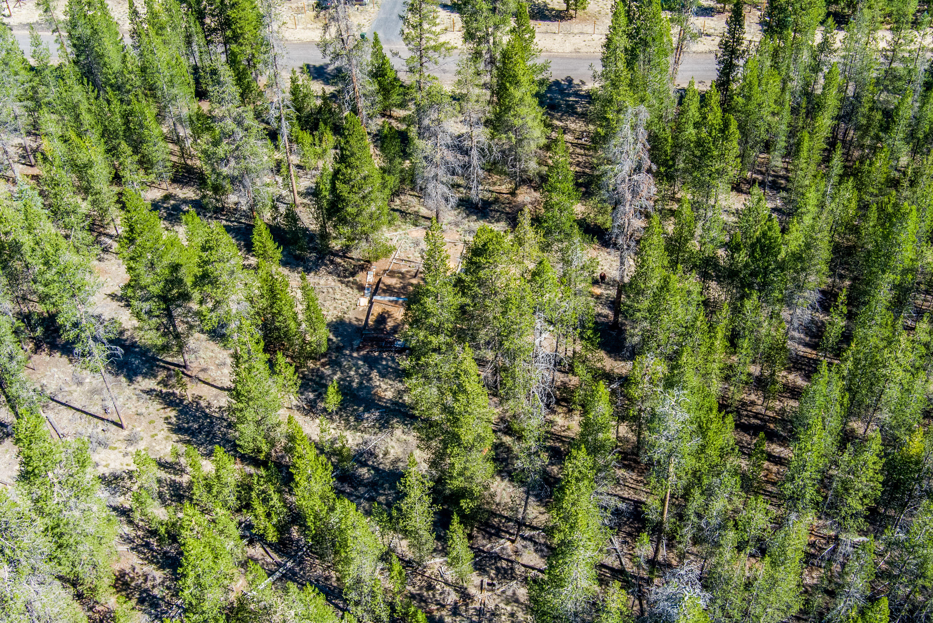 Sun Forest Estates - Land