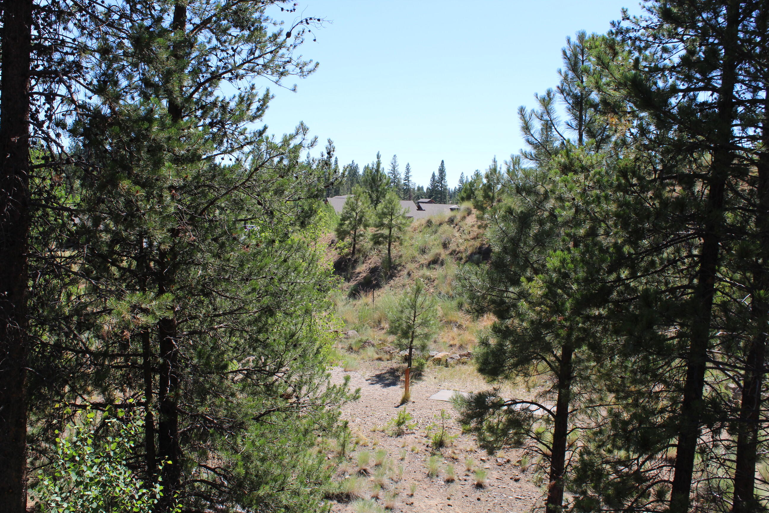 The Ridge - Residential