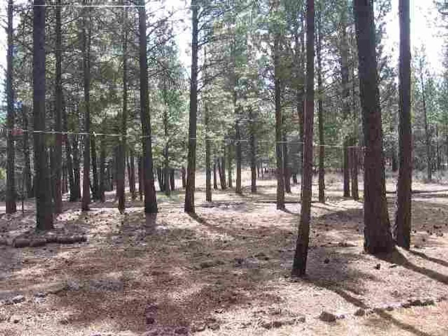 Gorgeous 20 Acre Timbered Parcel Ready To Build With Well, Septic, Power & Phone. Very Private But Only 8 Miles From From Chiloquin. Rv And Covered Carport Stay Along W/A Genarator. C.U.P. On File.