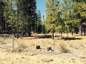 River Pine Estates - Land