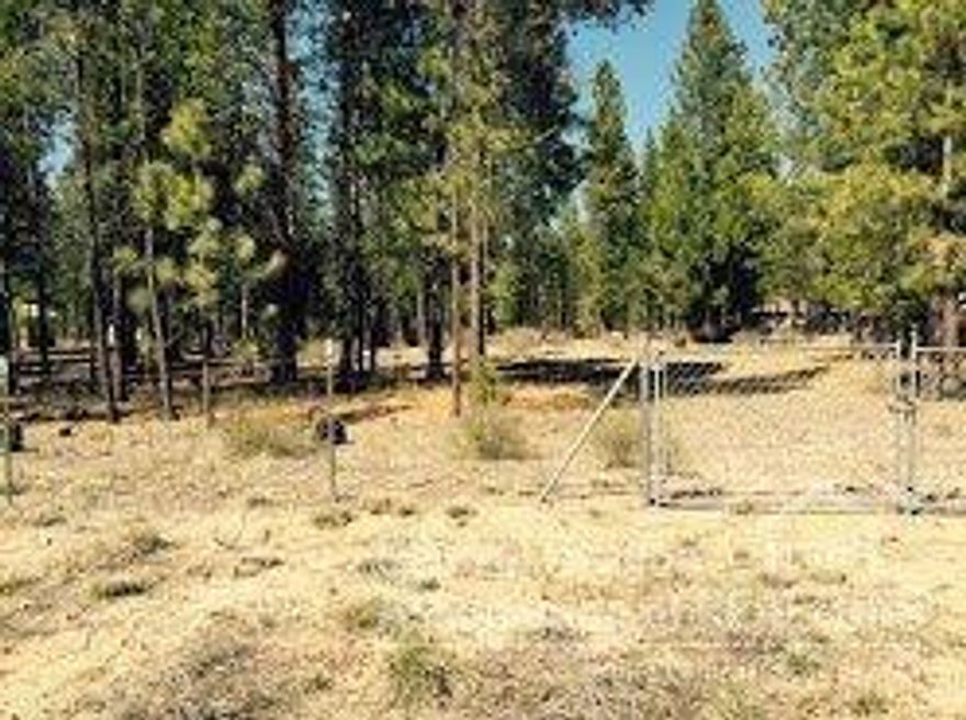 Great parcel of property located in Klamath County. One acre of well treed land to build your dream home or develop a nice RV site.