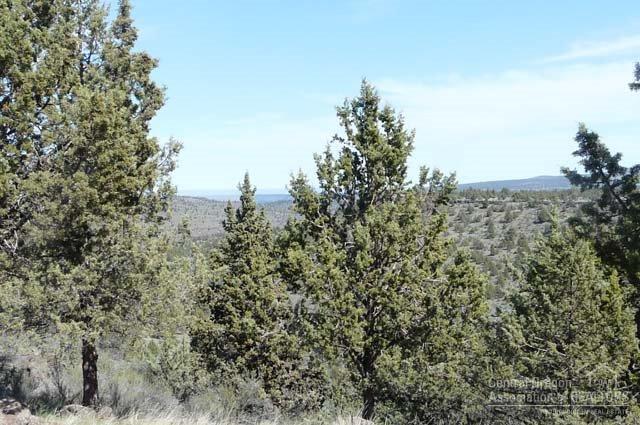 3 Rivers Rec - Residential