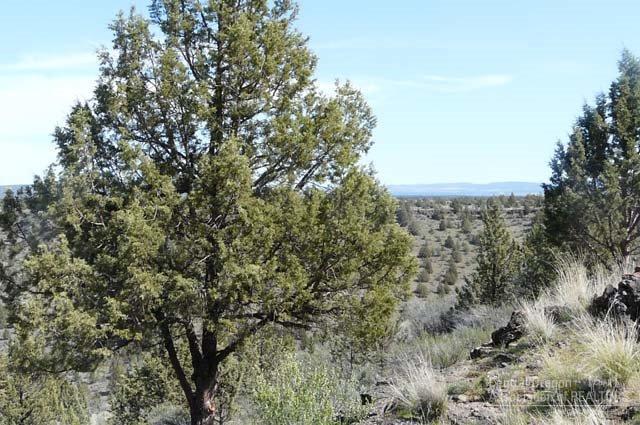 3 Rivers Rec - Residential