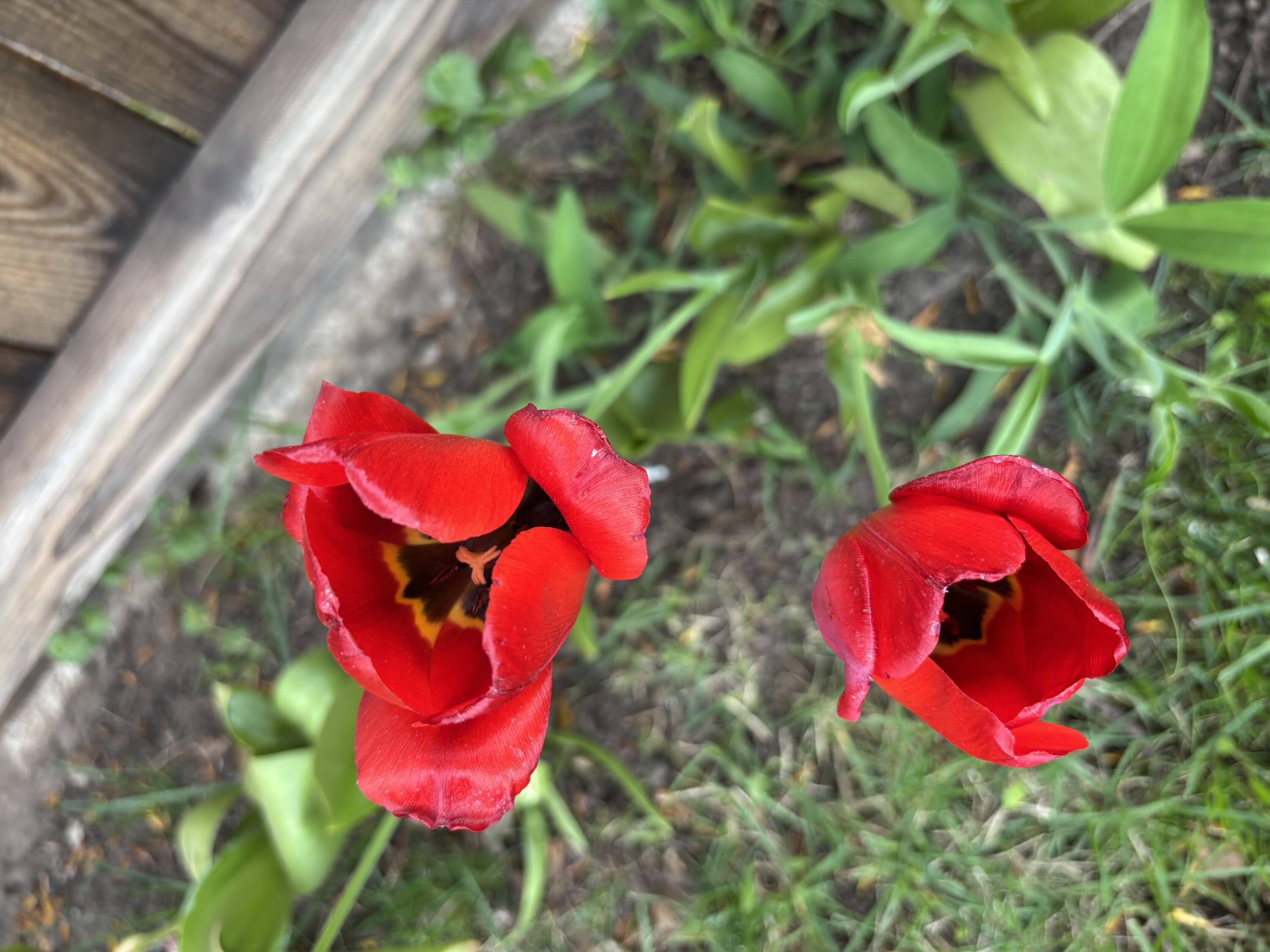 Bend Park - Residential