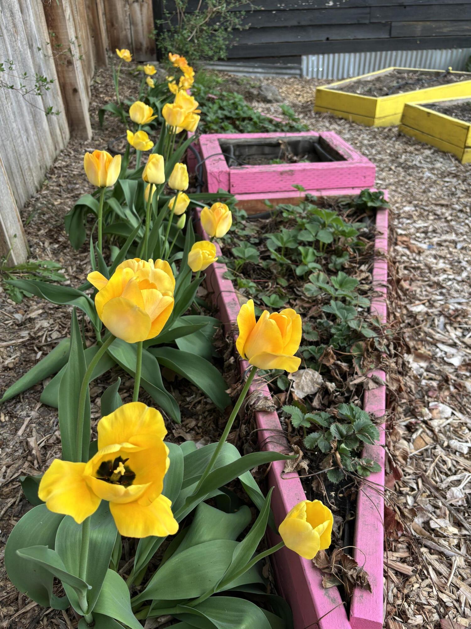 Bend Park - Residential