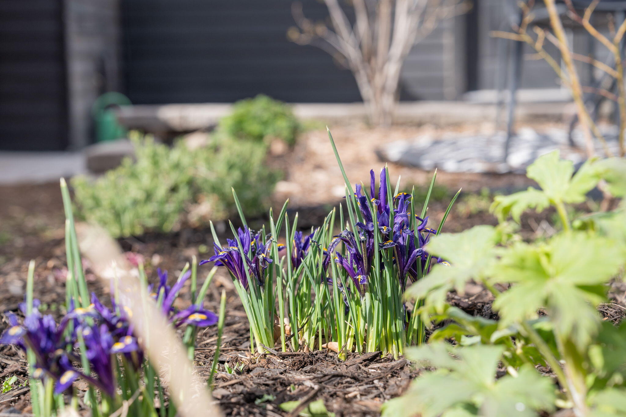 Bend Park - Residential