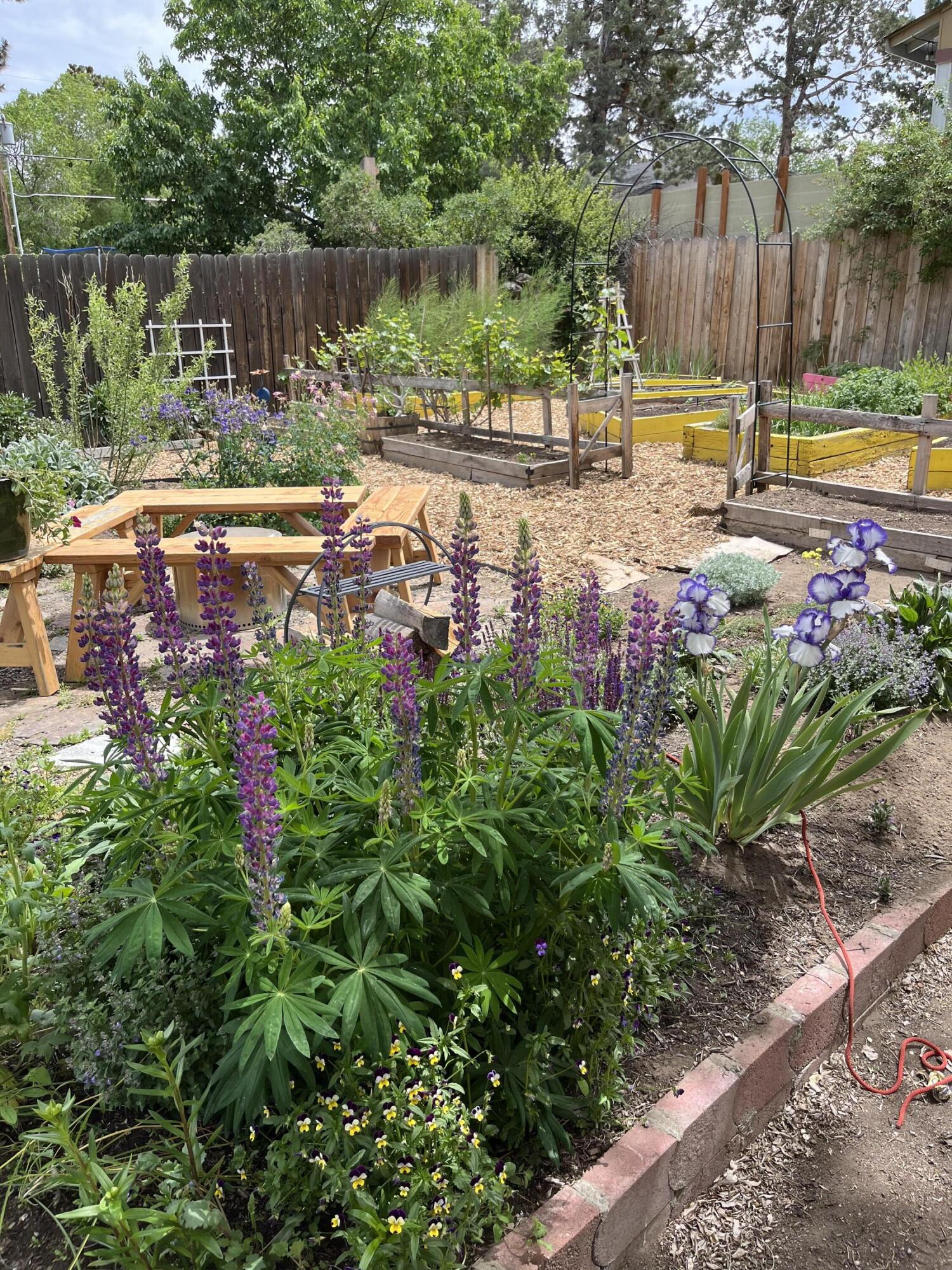 Bend Park - Residential