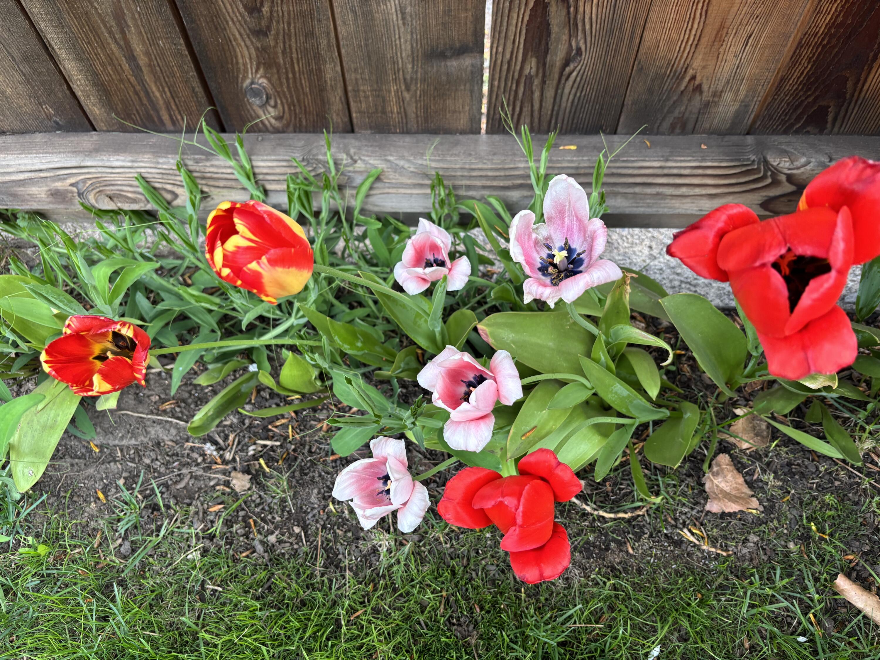 Bend Park - Residential