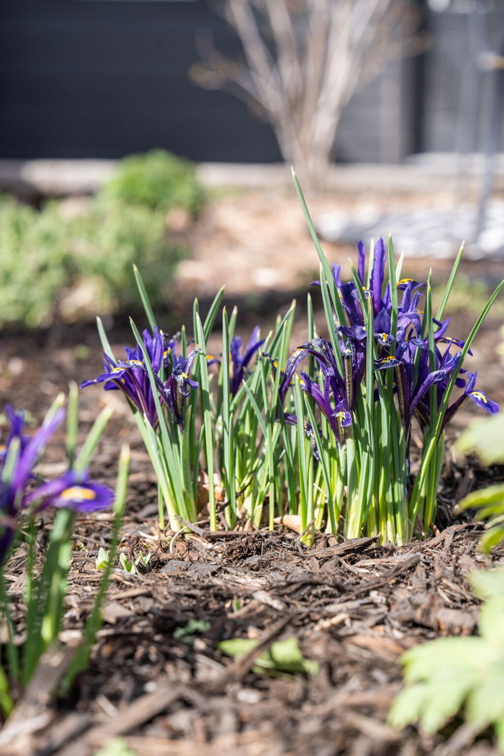 Bend Park - Residential