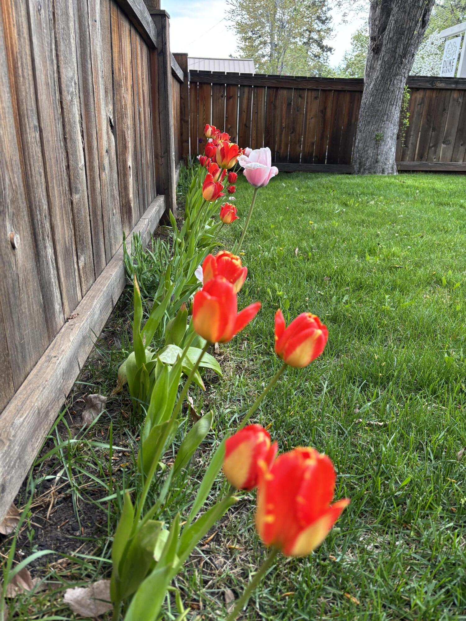 Bend Park - Residential
