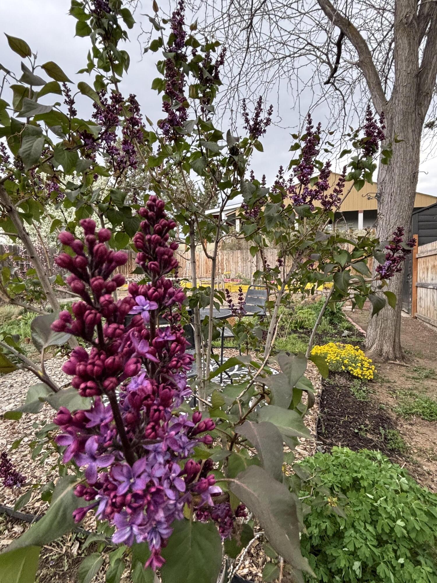 Bend Park - Residential