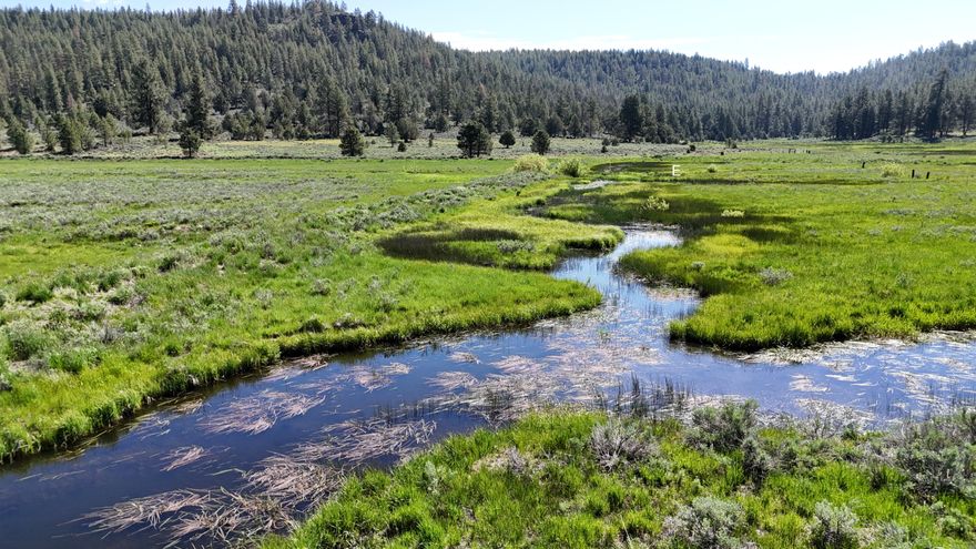 This property is 80 acres with Fish Hole Creek running through the middle plus a year-round spring running into it. This is a Birders paradise plus Deer, Antelope, Fox and Coyote. This piece of Paradise is just 12 miles off Hwy 140. Excellent horseback, hiking and fishing country. Lakes nearby include Loften Heart Lake, Holbrook, Little Fish Hole Flat Reservoir and Gerber Reservoir. Nearby Gearhart Mountain Wilderness offers additional horseback riding & hiking. Aspen Ridge Resort is just up the road. 
     The trailer has a metal high pitch roof for snow protection. A 100Watt solar panel to keep the house batteries topped off. In addition, seller will provide a 4500-Watt Generator to operate the 100 ft domestic well rated at 20 GPM with a ½ hp submersible pump. A pressure tank is located in a garden shed, with additional storage.