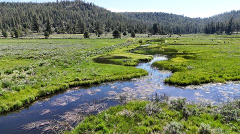 12 Mile Post 12 Fish Hole Creek Bly OR 97622