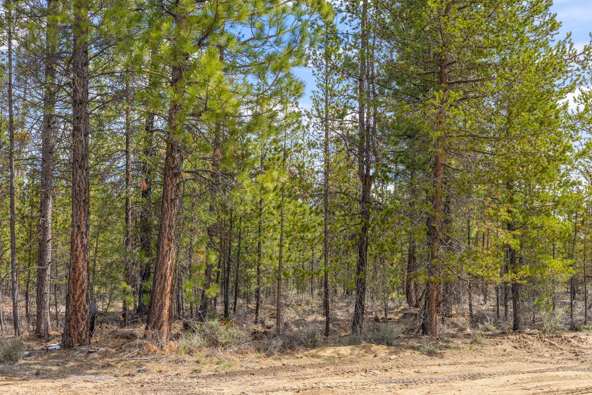 Wagon Trail Acreages - Land