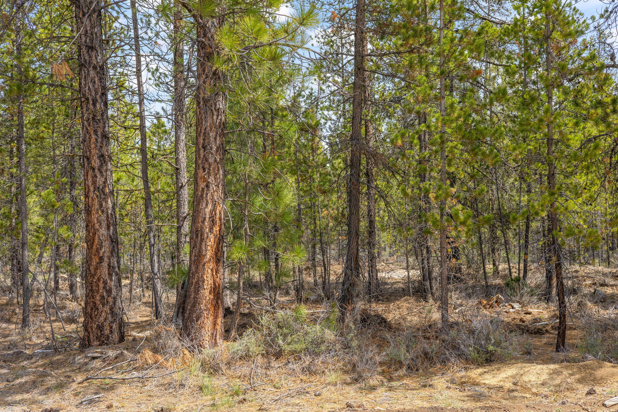 Wagon Trail Acreages - Land