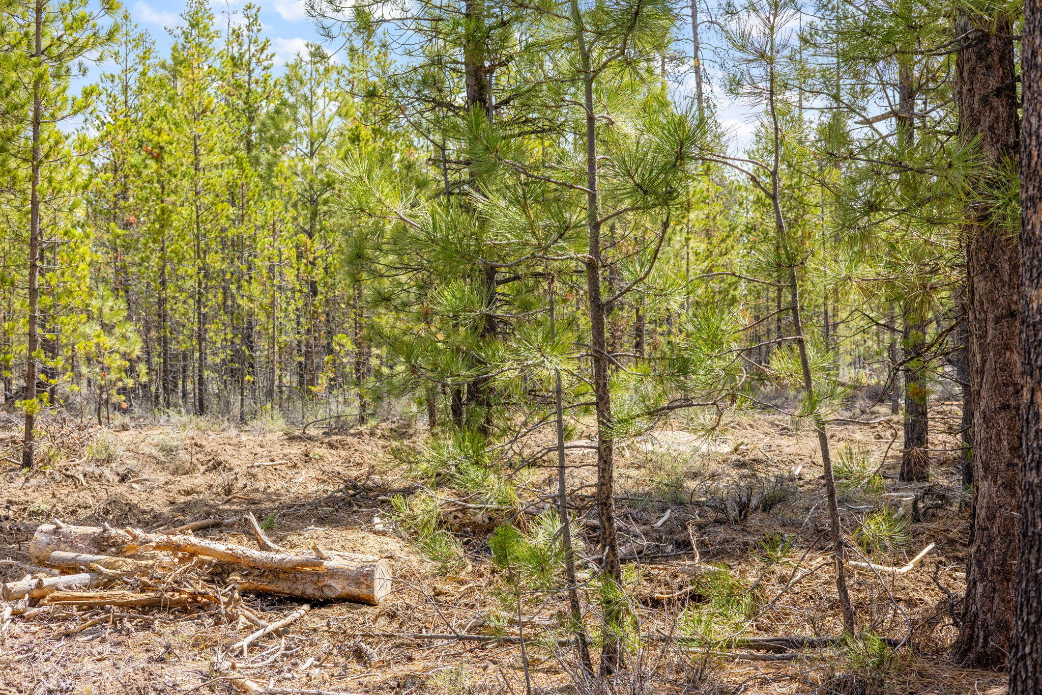 Wagon Trail Acreages - Land