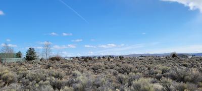 Christmas Valley Unit8 - Land