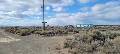 Christmas Valley Unit8 - Land