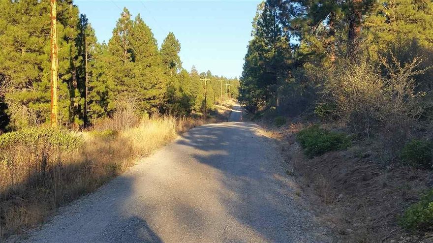 Mountain Land! 2 Beautiful Parcels (Approx. 4.6 Acres) With Tall Pines. Good Roads, All Year Access And Zoned Residential. Power At Grizzly Rd Next To Property.