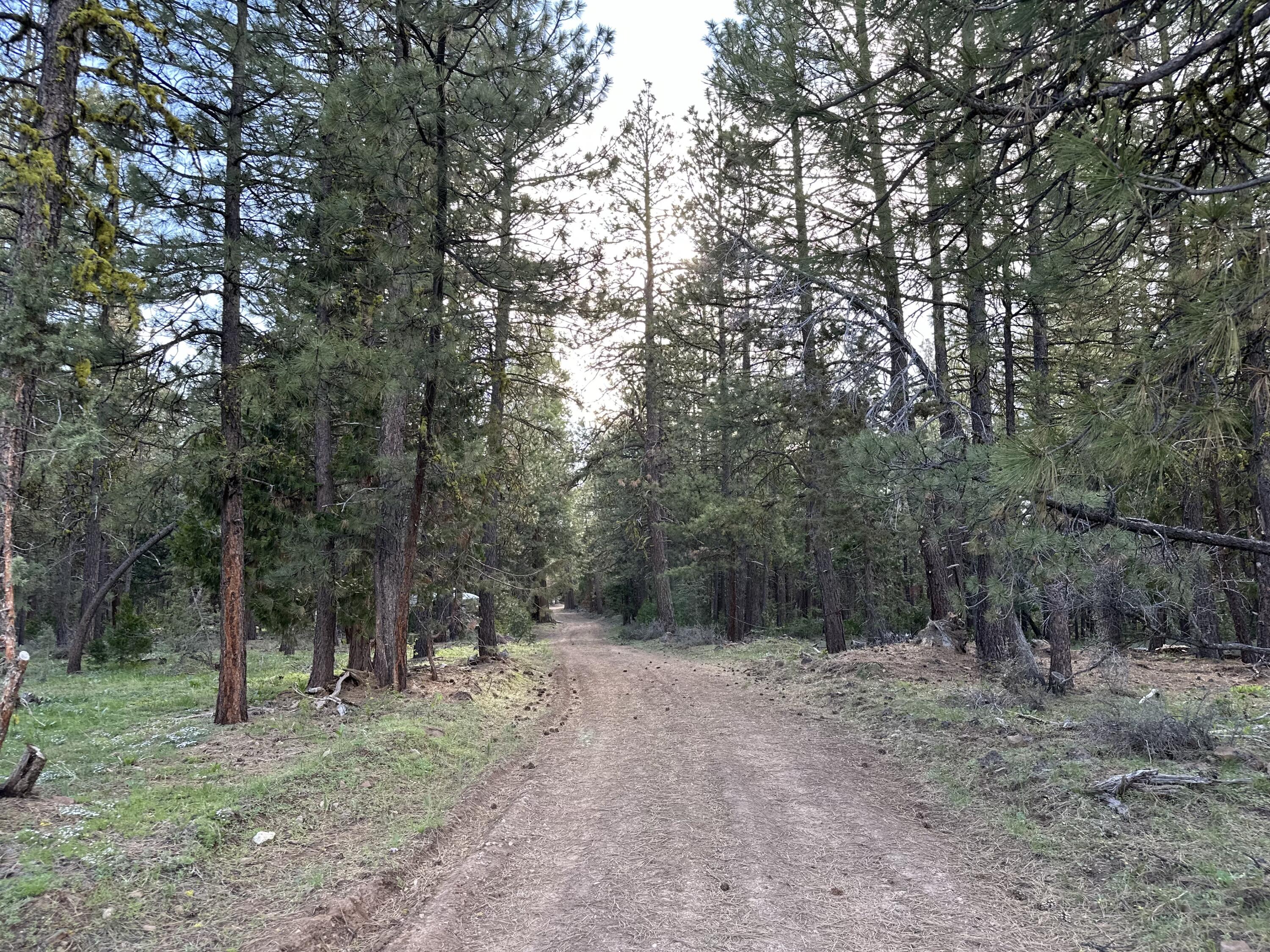 Klamath Falls Forest Estates Hwy 66 Unit Plat 4 - Land