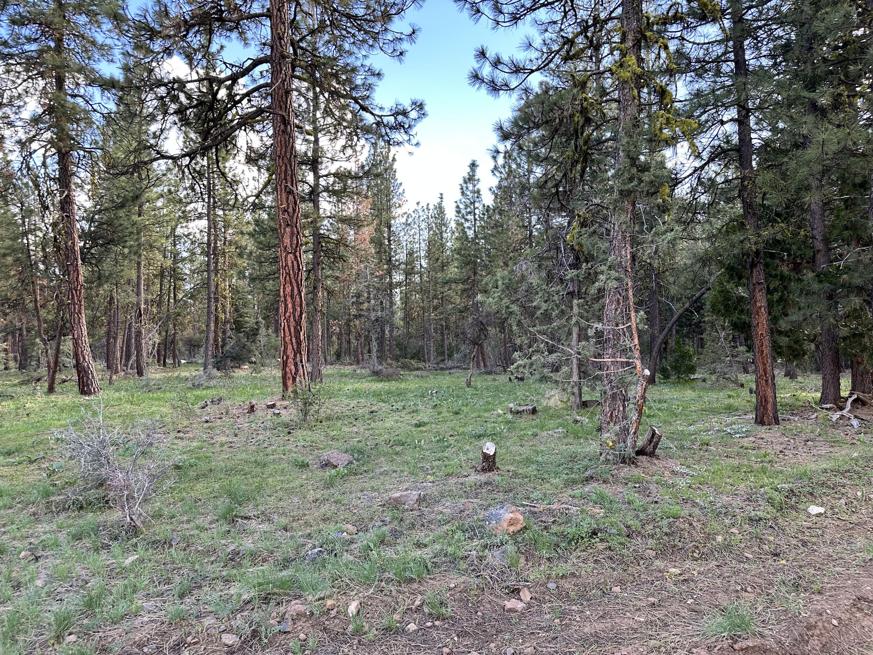 Klamath Falls Forest Estates Hwy 66 Unit Plat 4 - Land