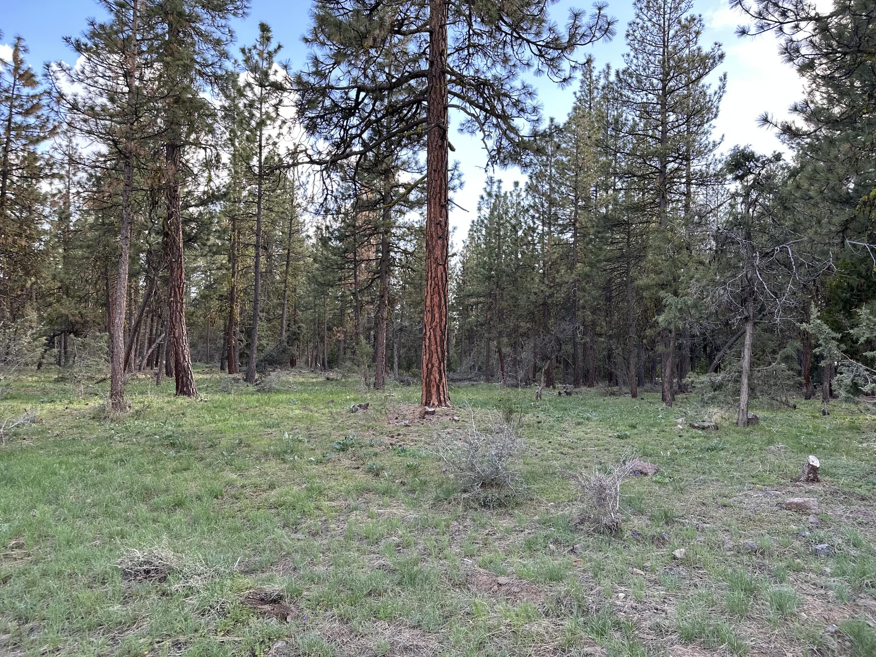 Klamath Falls Forest Estates Hwy 66 Unit Plat 4 - Land