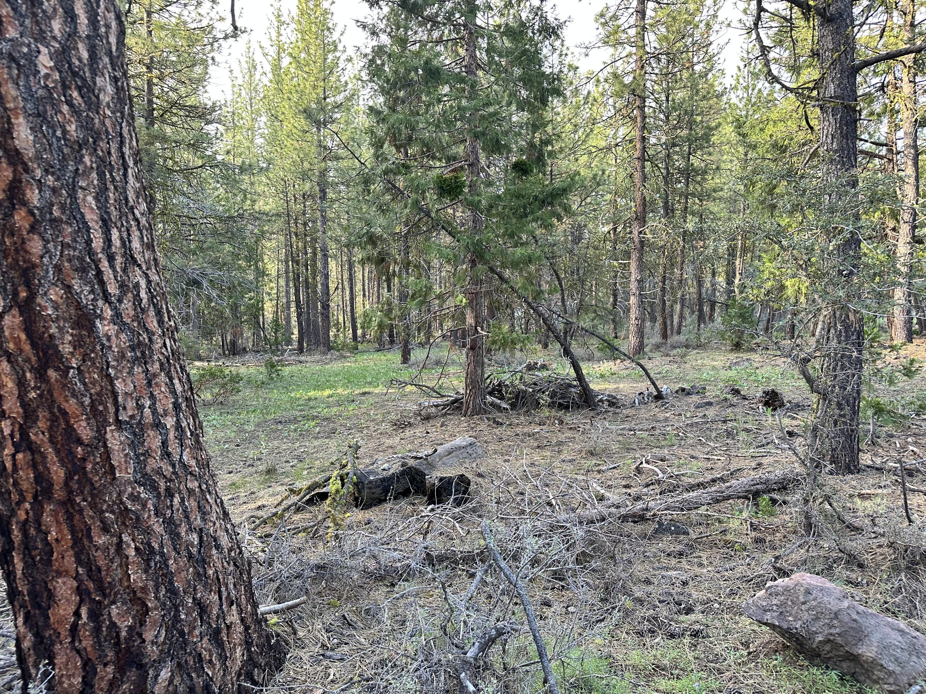 Klamath Falls Forest Estates Hwy 66 Unit Plat 4 - Land