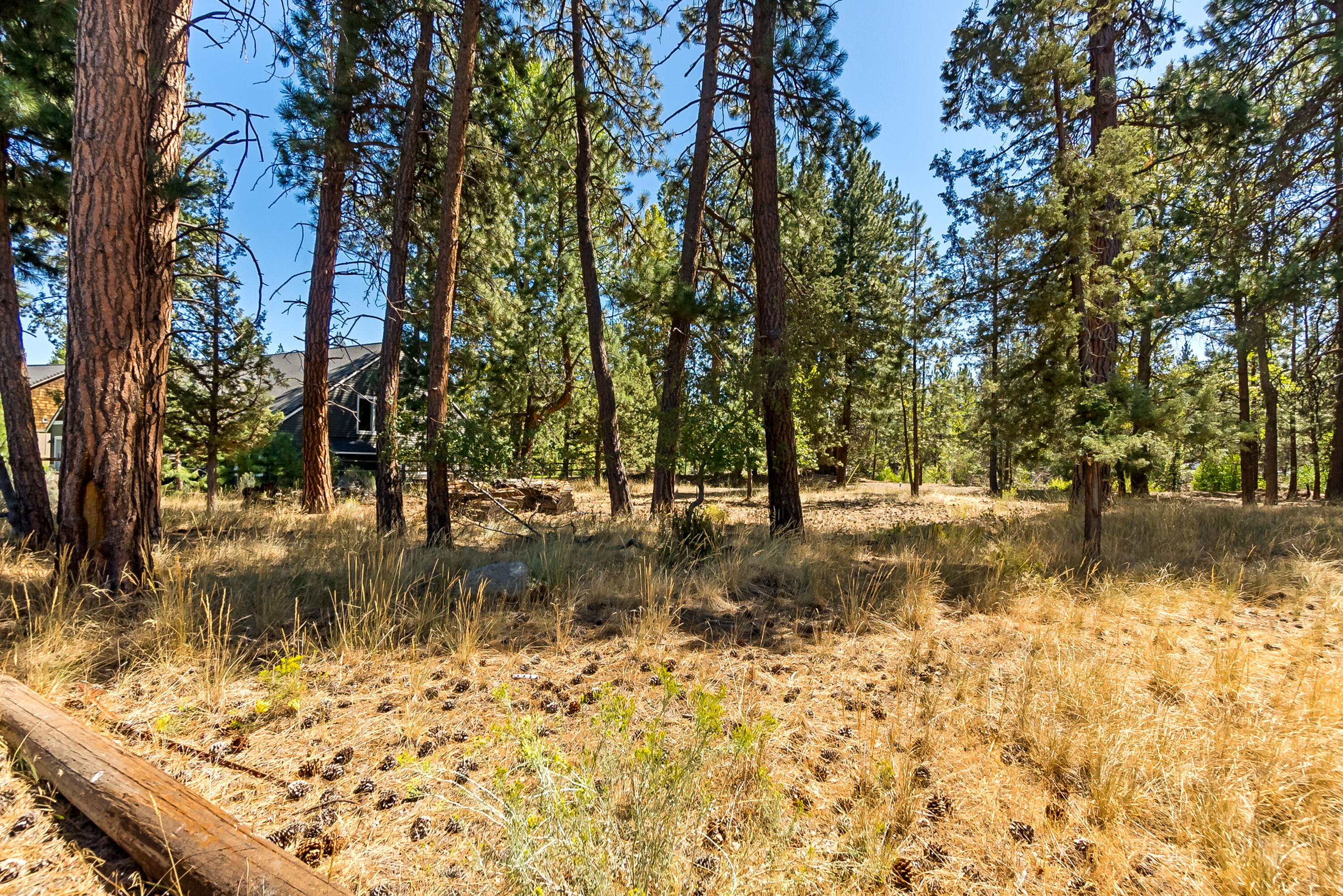 Roaring Springs - Land