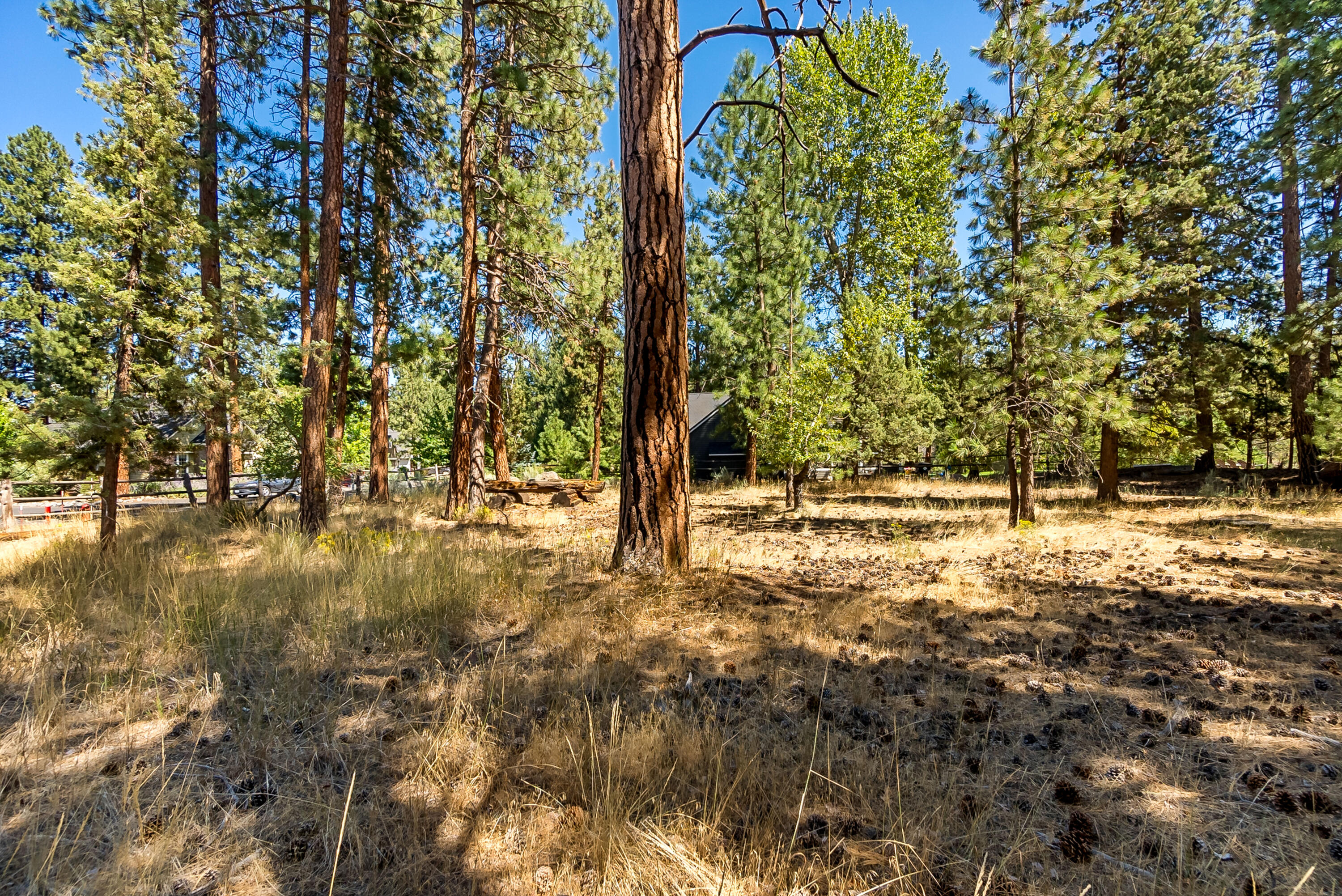 Roaring Springs - Land
