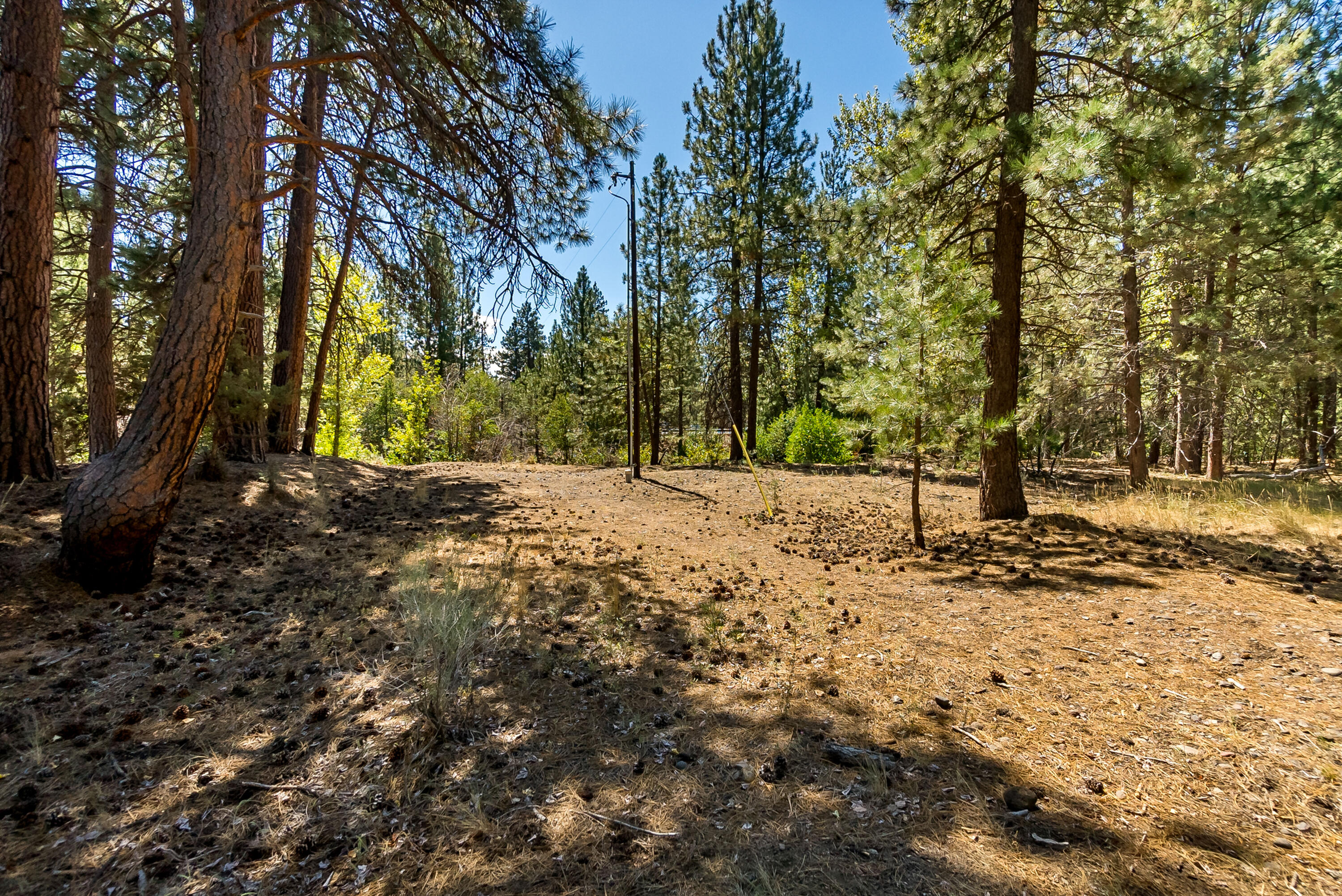 Roaring Springs - Land