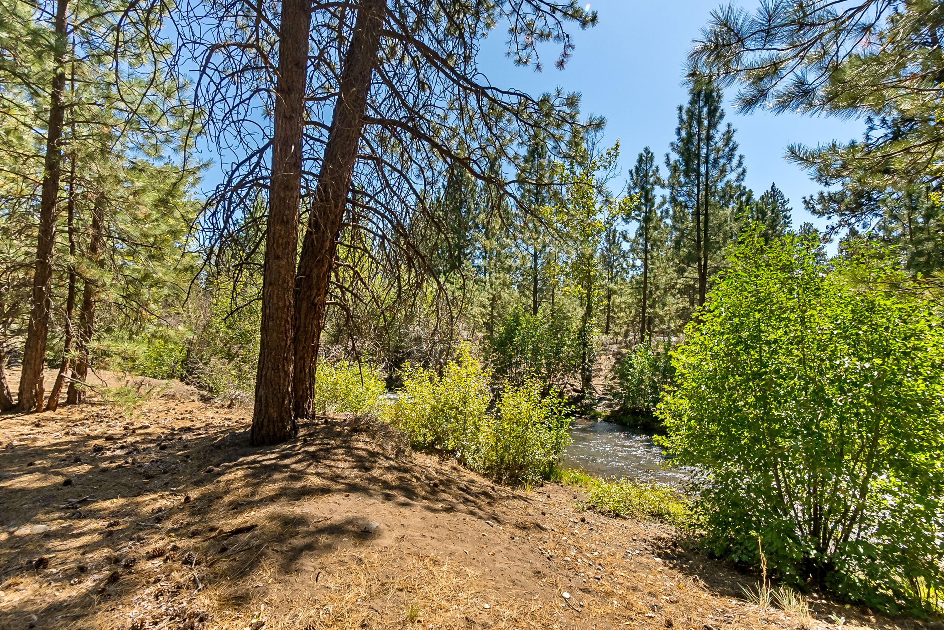 Roaring Springs - Land